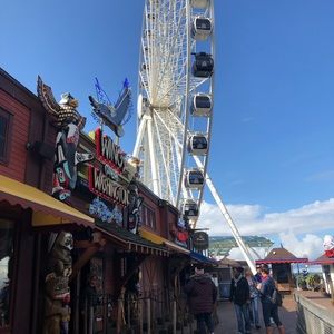 Meet your Posher, Kiki